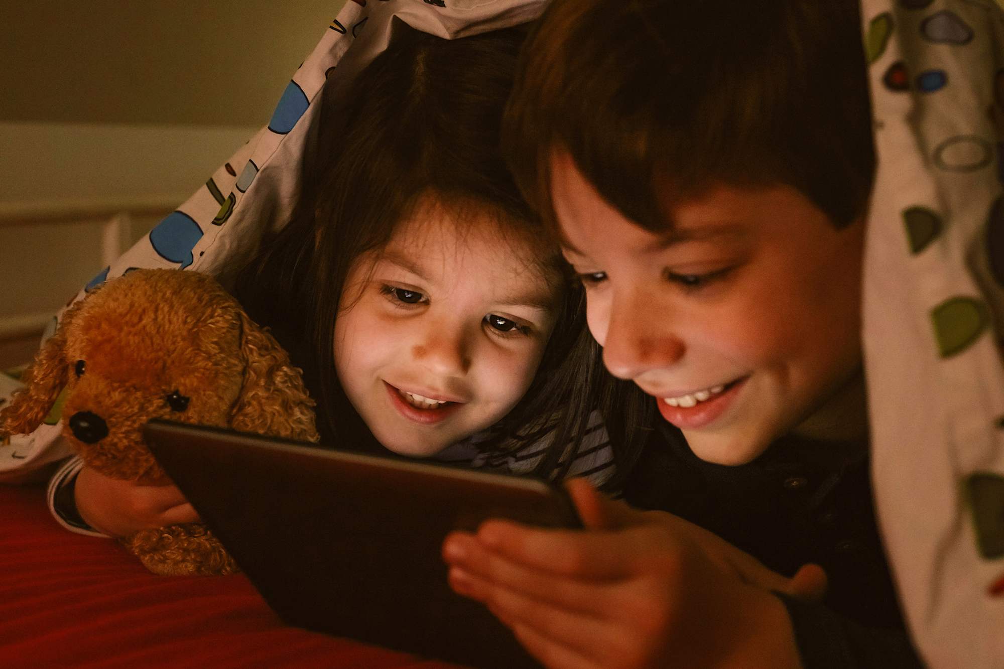 Mojo Homes Newsletter, Discover More Joy!