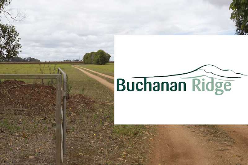 House and Land packages in Buchanan Ridge