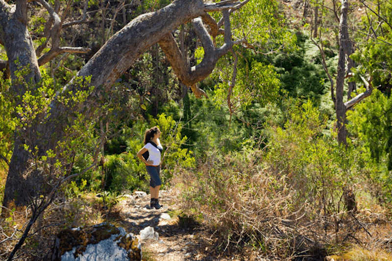 House and Land Packages in Waratah Grove